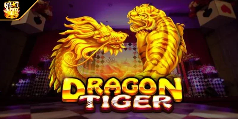 kham pha the gioi rong ho va nhung dieu ban can biet Khám phá thế giới rồng hổ và những điều bạn cần biết