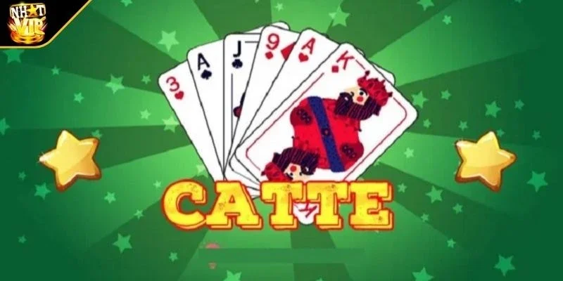 Tổng quan về Catte