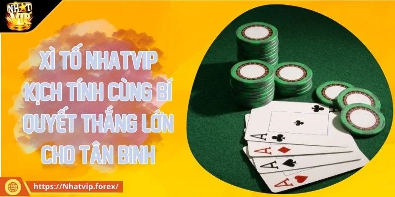 Xì tố
